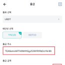 우드코 이미지