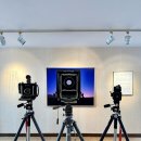 J-076 | 20230318 코로나 후 첫 해외(일본)여행 (8) 비에이 투어 2 마무리 후 삿포로 시내에서 회전초밥 &amp; 이자카야