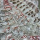 신갈마로-5 이미지