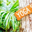 힐링 건강 요가 이미지