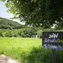 깊은샘블루베리농장 이미지