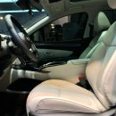 카테일링 이미지