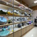 영통동물병원 이미지