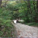 4. 계룡산 갑사에서 동학사까지 순례 및 산행 / 계룡산 용문폭포에서 금잔디고개까지 이미지