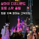 월드팩토리 주식회사 | 상하이 디즈니랜드 포토스팟 추천 퇴장지옥 피하는 꿀팁