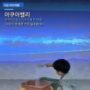 아쿠아플러스(주) 금천점 | 가산 아쿠아밸리 키즈카페 | 아쿠아리움+키즈카페 한 번에, 2시간이 부족해요