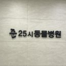 잠실준25시 동물병원 이미지