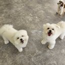 안양유치원 이미지