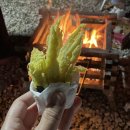 약사밤나무집캠핑장 이미지