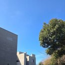 더쎈제주영어교육도시공인중개사사무소 | 제주영어교육도시 691하우스 마지막 한세대 분양 매물