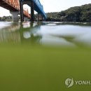 낙동강물환경연구소 이미지