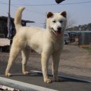 건영축산 이미지