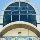 세종에서 30개월 아이랑 코레일 기차표 100% 환급받고 영동 여행 다녀오기 후기편