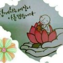 안경너머로보이는세상 Daum카페