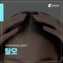 남포힘찬의원 네이버블로그