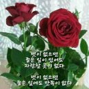 고운님 이미지