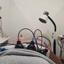 편한세상한의원 | 명동다이어트한의원 맞춤 클리닉 후기 8일차 다이어트 변화 기록