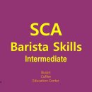 [06월16일 개강/오전 10시] SCA 바리스타 Intermediate 과정/마감 이미지