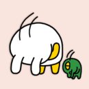 한국콘택트렌즈안경원 이미지