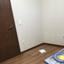 남문동물병원 이미지