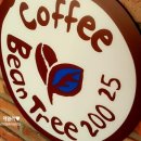 빈트리(Bean Tree)