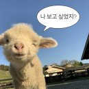 햇빛약국 이미지