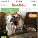 테오종합동물병원