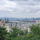 신금호부동산공인중개사사무소 이미지