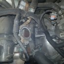 라제카센타 이미지