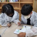 영흥초 병설유치원 이미지