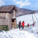 대관령목장 이미지