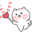 서초백화점약국 이미지