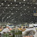 만월청과 이미지