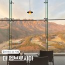 델피노 I | 강원 고성 I 마운틴뷰 끝판왕 뷰카페 델피노리조트 더 엠브로시아 오픈런 후기 꿀팁 창가 자리