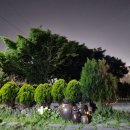 다복다복 이미지