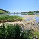 의림지-07 이미지