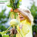 스마트가드너 이미지