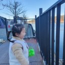 아이놀터 이미지