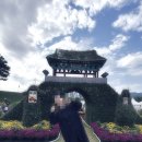 홍성점핑운동전문센터 | 홍성점핑 홍성점핑운동전문센터에서 국화축제 즐긴 후기 🏃‍♀️✨