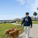 신동-106 이미지