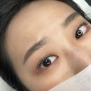 깔끔하고 바짝 올라간 컬링 체리브로우 속눈썸펌 후기