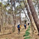 고창 선운산 (수리봉336m)/청룡산(314m)/천마봉(284m) .....2023/3/16 이미지