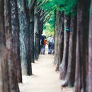 어도숲 캠핑장 이미지