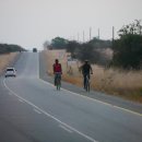 Big Tree 호스텔 이미지