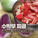 초록즙건강원 | 수박무+콜라비 피클 만들기