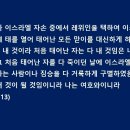 (주)타고렌트카 이미지