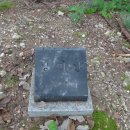 장미의거리13 이미지