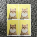 몽이네컷 이미지