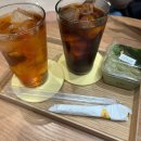 디오 동물병원 | 2025. 9