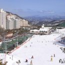 대명기획 이미지